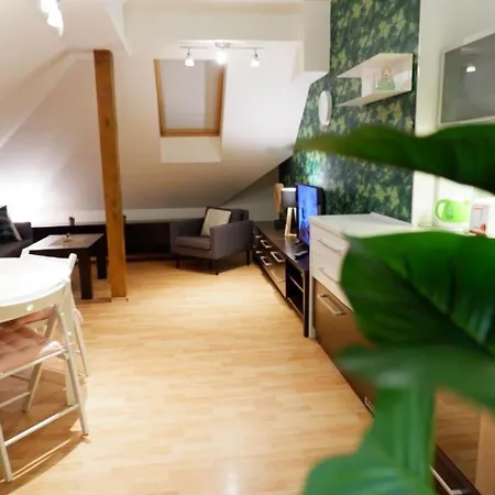 V Centru Mesta S Vyhledem Na Petra, A Parkovani Brno Exterior photo