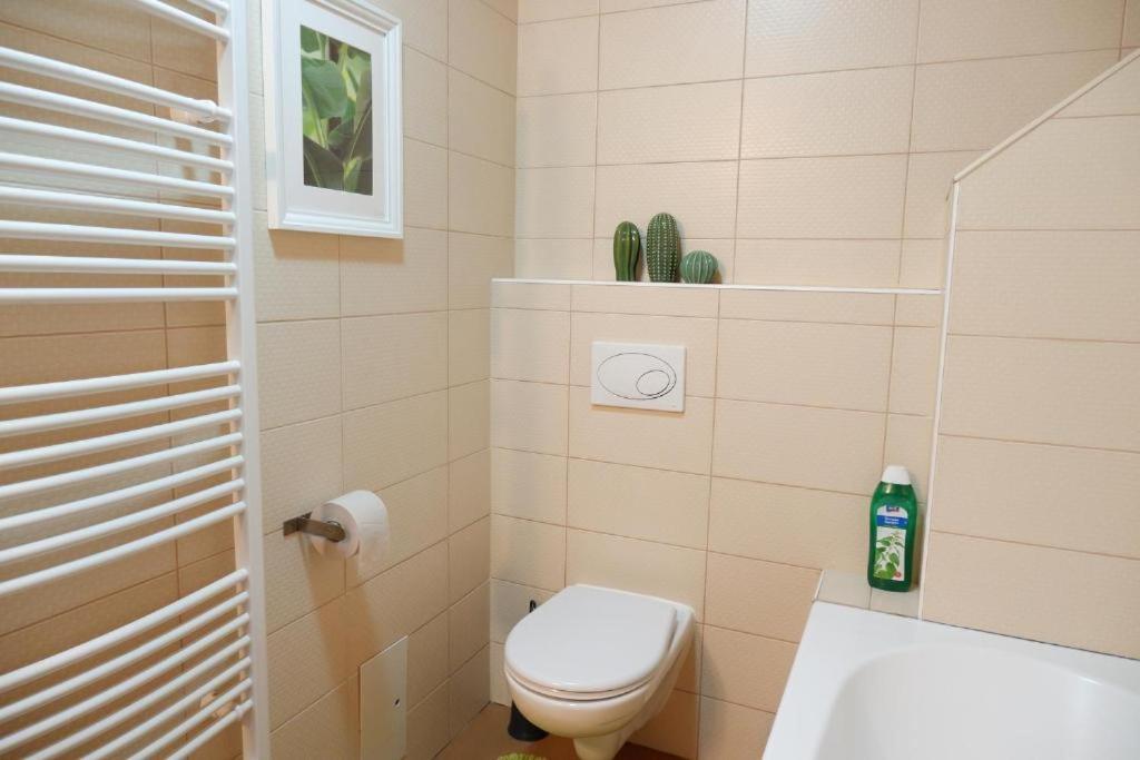 Apartment V Centru Mesta S Vyhledem Na Petra, A Parkovani Brno