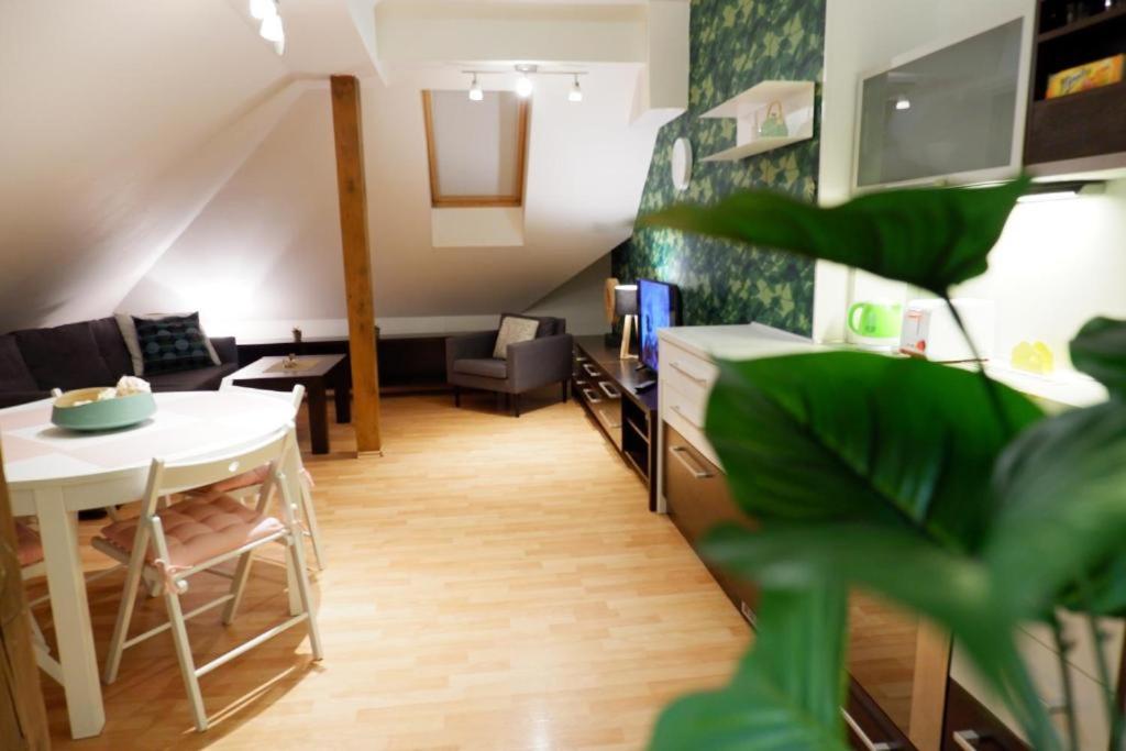 Apartment V Centru Mesta S Vyhledem Na Petra, A Parkovani *